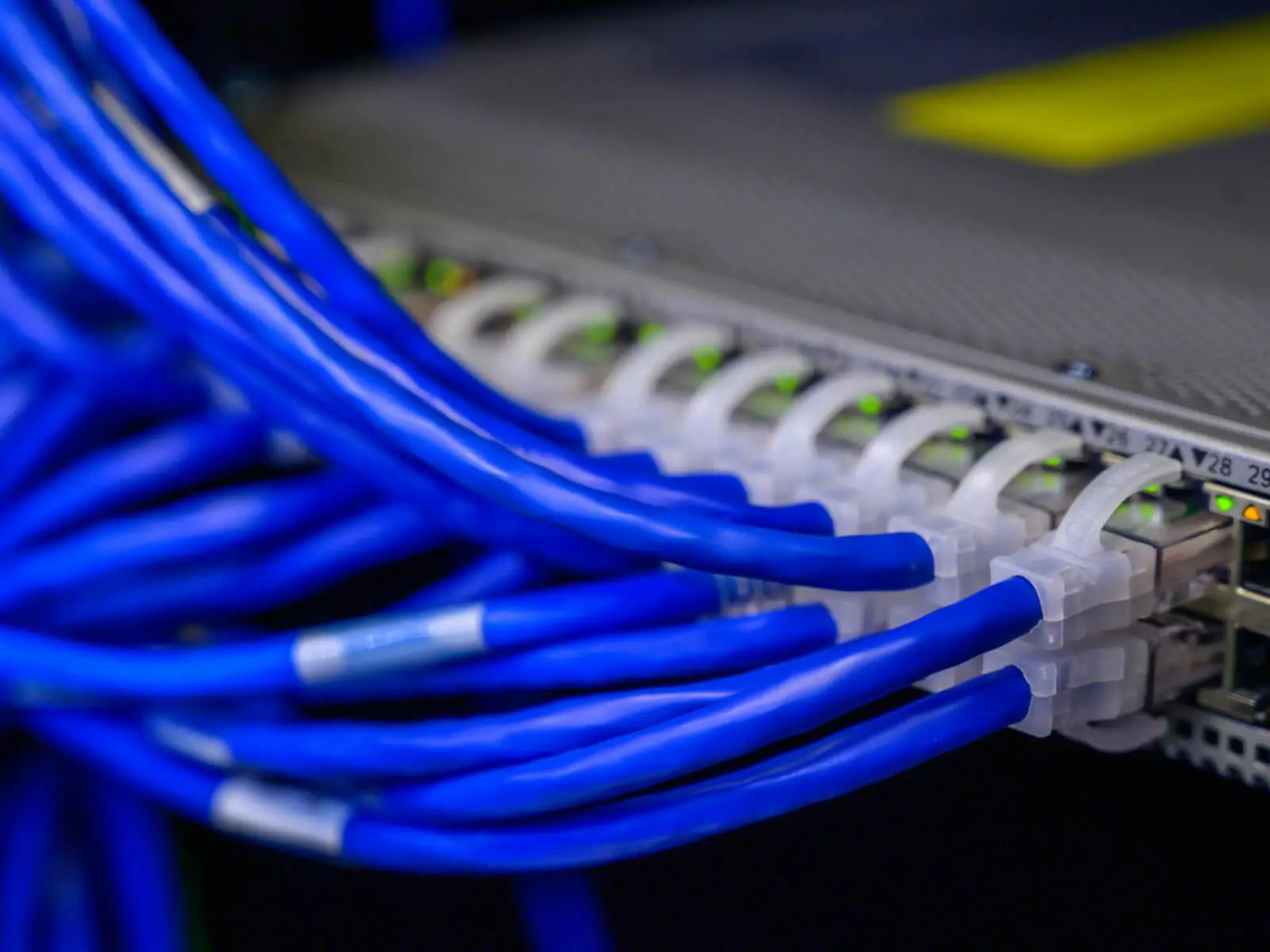 A bunch of networking cables.